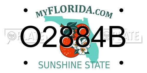 O2884B Florida License Plate