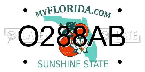 O288AB Florida License Plate
