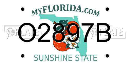 O2897B Florida License Plate