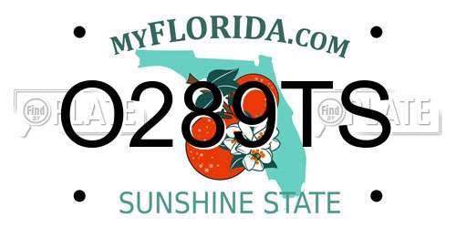 O289TS Florida License Plate