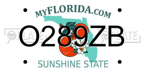 O289ZB Florida License Plate