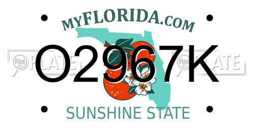 O2967K Florida License Plate