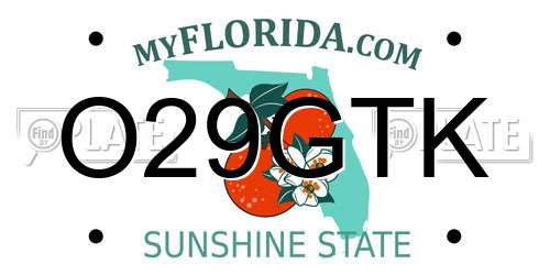 O29GTK Florida License Plate