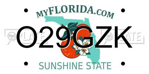 O29GZK Florida License Plate