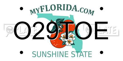 O29TOE Florida License Plate