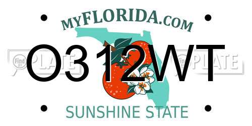 O312WT Florida License Plate