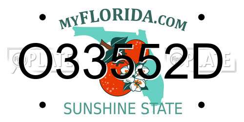 O33552D Florida License Plate