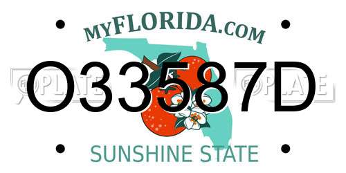 O33587D Florida License Plate