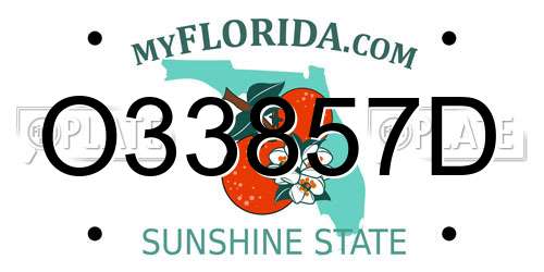 O33857D Florida License Plate