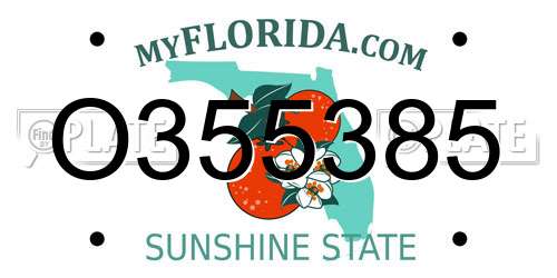 O355385 Florida License Plate