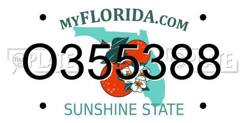 O355388 Florida License Plate