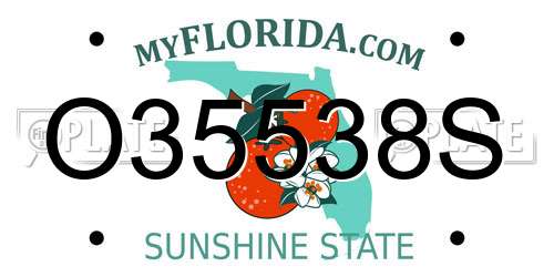 O35538S Florida License Plate