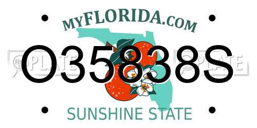 O35838S Florida License Plate