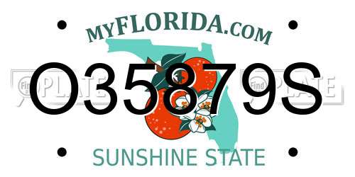 O35879S Florida License Plate
