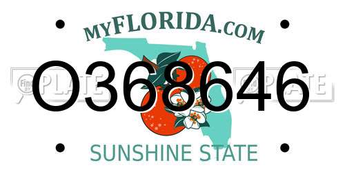 O368646 Florida License Plate