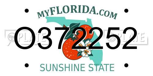O372252 Florida License Plate