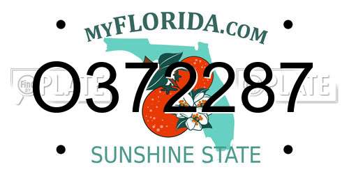 O372287 Florida License Plate