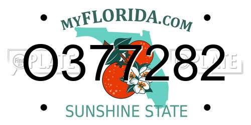 O377282 Florida License Plate
