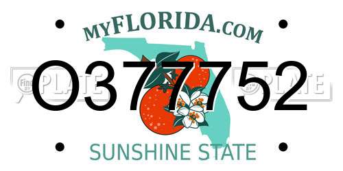 O377752 Florida License Plate