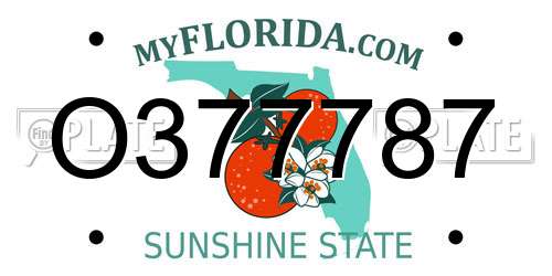 O377787 Florida License Plate