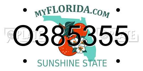 O385355 Florida License Plate