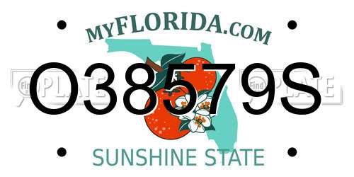 O38579S Florida License Plate