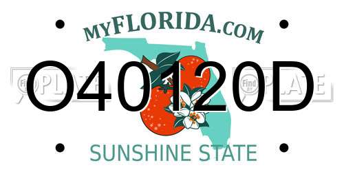 O40120D Florida License Plate