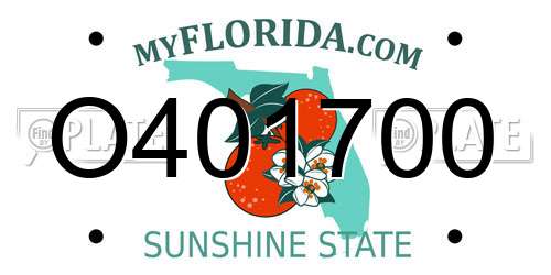 O401700 Florida License Plate