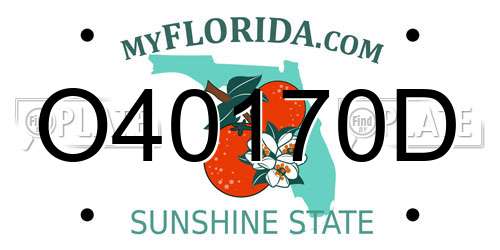 O40170D Florida License Plate