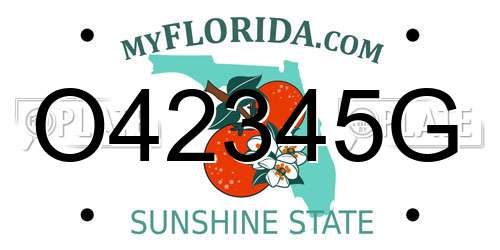 O42345G Florida License Plate