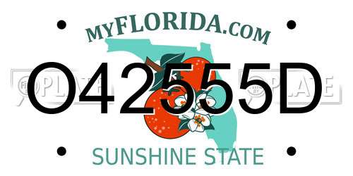 O42555D Florida License Plate