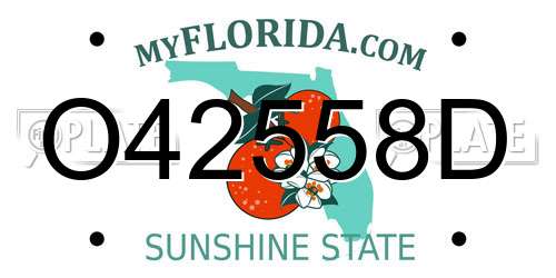 O42558D Florida License Plate
