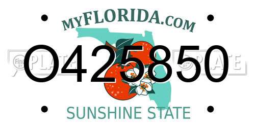 O425850 Florida License Plate