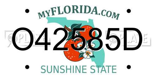 O42585D Florida License Plate