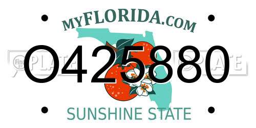 O425880 Florida License Plate