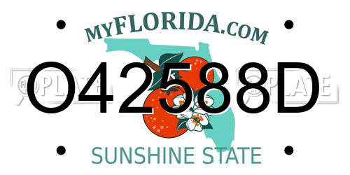 O42588D Florida License Plate