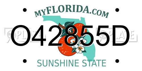 O42855D Florida License Plate