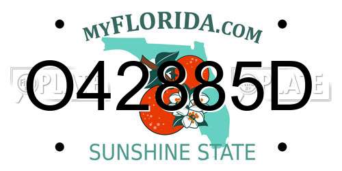 O42885D Florida License Plate