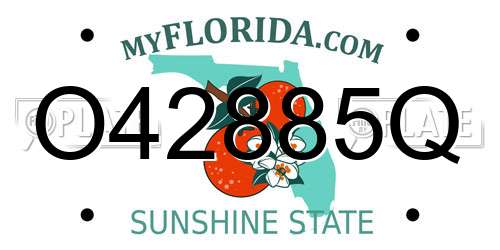 O42885Q Florida License Plate