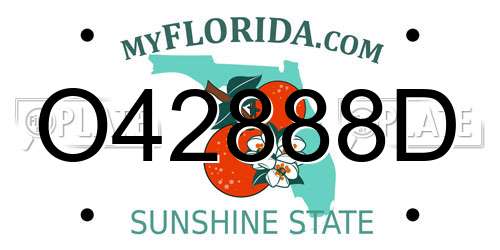 O42888D Florida License Plate