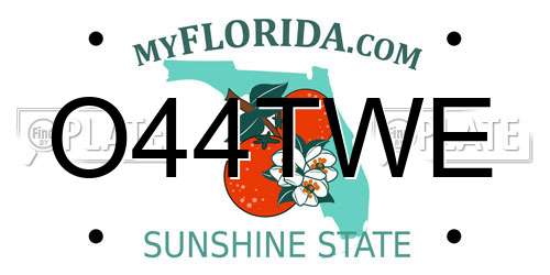 O44TWE Florida License Plate