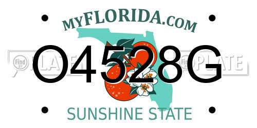 O4528G Florida License Plate