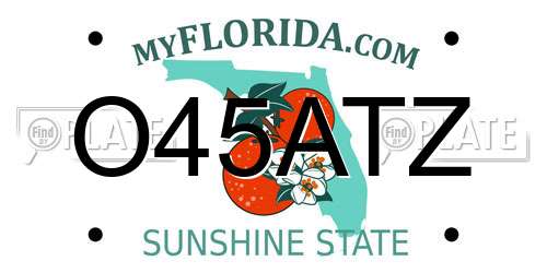 O45ATZ Florida License Plate