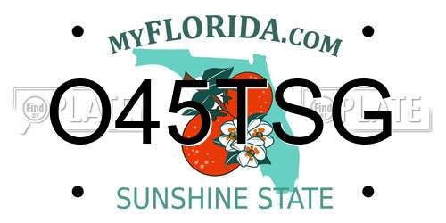 O45TSG Florida License Plate