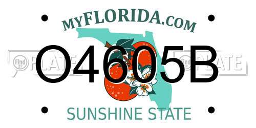 O4605B Florida License Plate