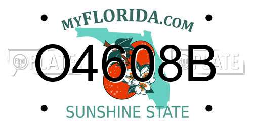 O4608B Florida License Plate