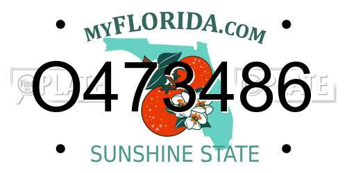 O473486 Florida License Plate