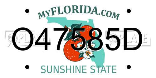 O47585D Florida License Plate