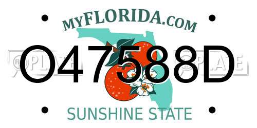 O47588D Florida License Plate