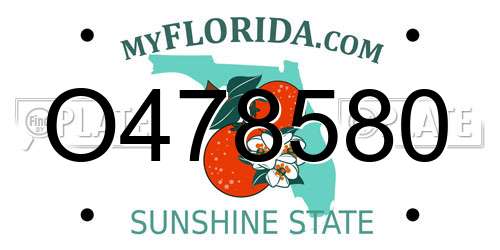 O478580 Florida License Plate